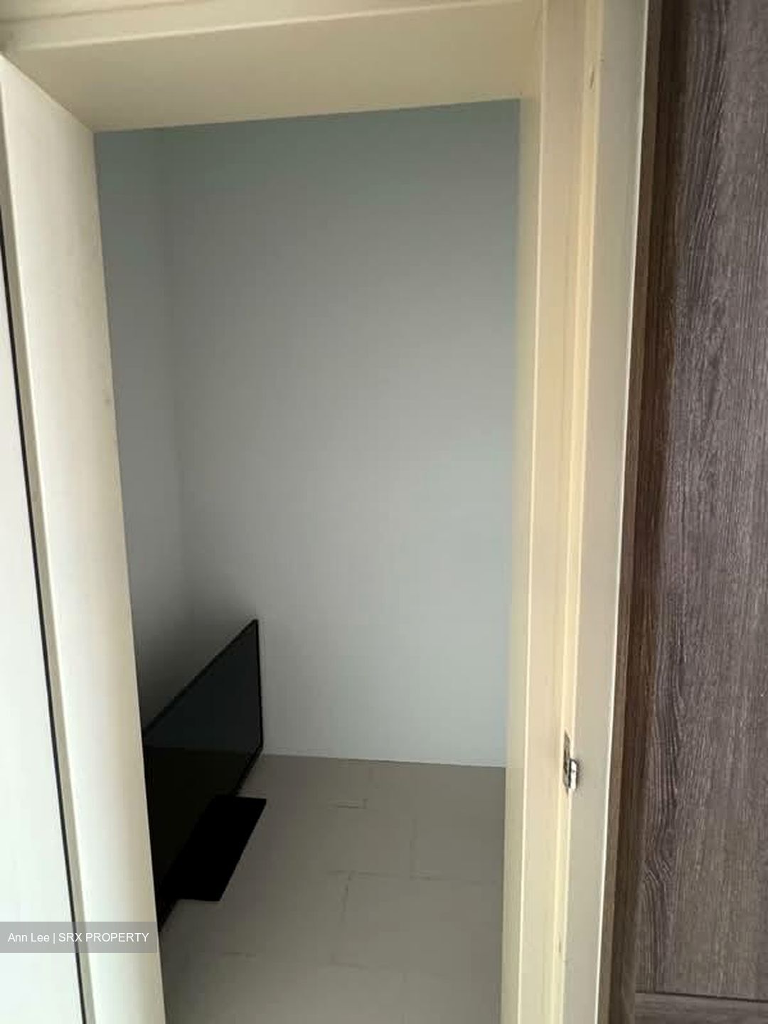 10 Evelyn (D11), Apartment #553481911